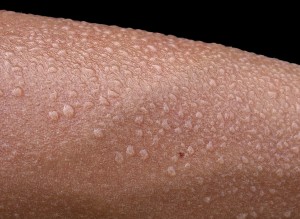 gouttes de transpiration sur peau humaine. foto: Minghong, CC-BY-SA-3.0, via Wikimedia Commons